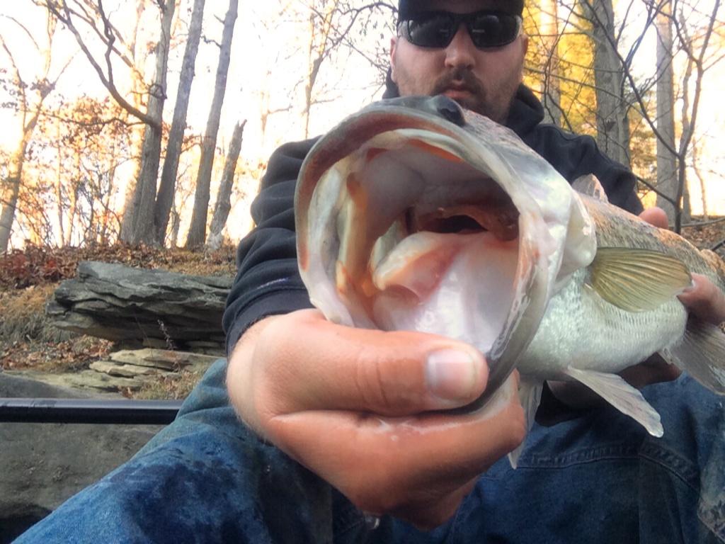 5050Fishing's tweet image. Gotta love that #fallbite !! They wanted the lipless cranks tonight. #hook1kfg #KayakFishing #riplips #stixnstones