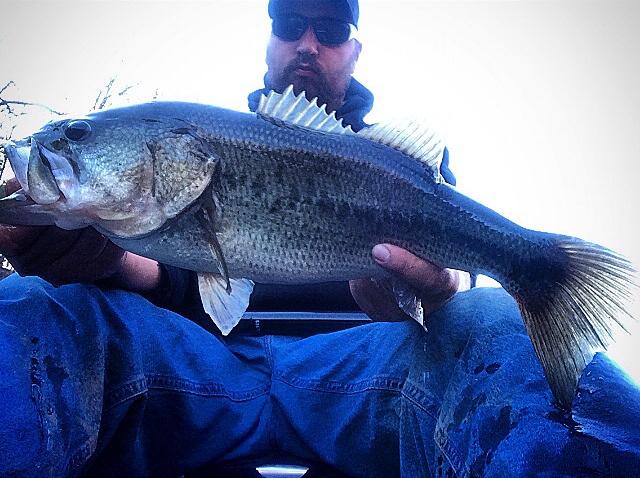 5050Fishing's tweet image. Gotta love that #fallbite !! They wanted the lipless cranks tonight. #hook1kfg #KayakFishing #riplips #stixnstones