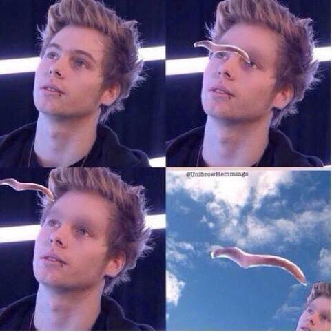 What the actual fuck ? 😂