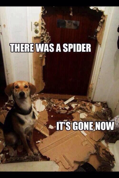 basicoverhere's tweet image. Me