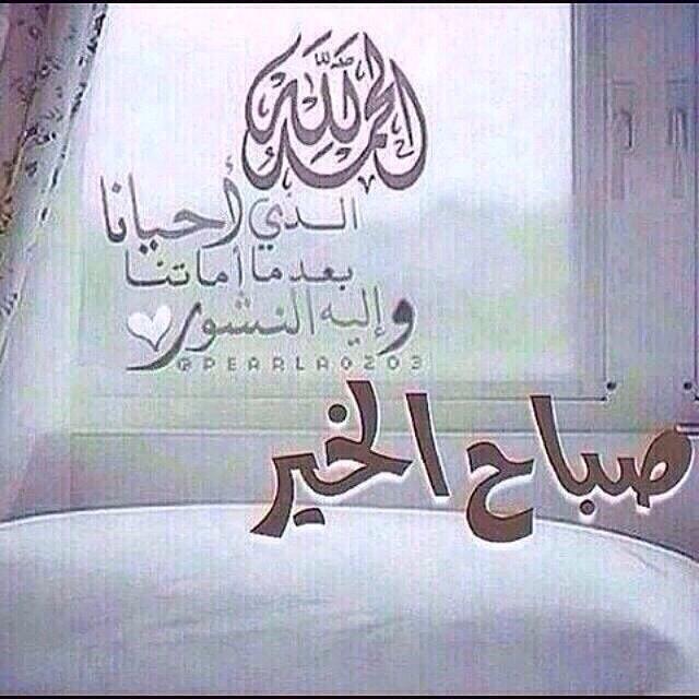 adna2009's tweet photo. @wledalboosh http://t.co/AYrYAKzTpz