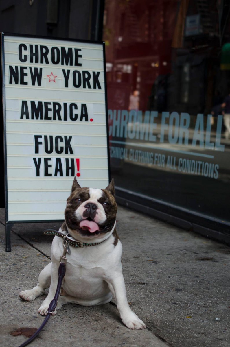 Chrome_Ind's tweet image. Shout out to all Veterans for their service, hard work, + dedication. We salute you. #happyveteransday #dogsofchrome