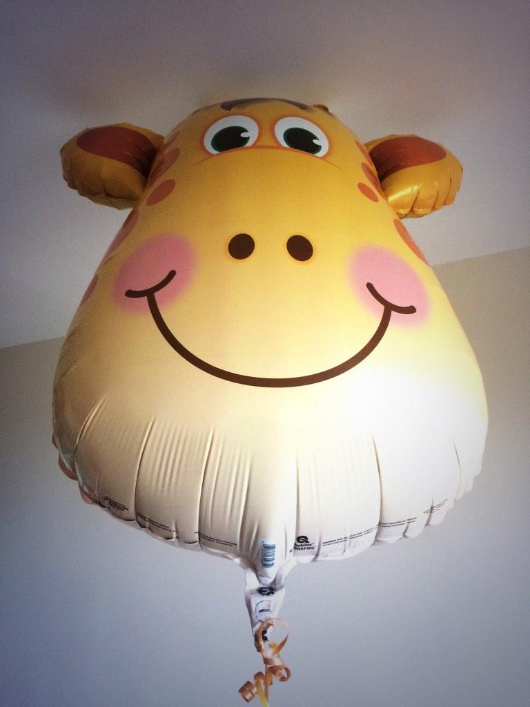 JamieMcDell's tweet photo. All I wanted was a little bit of helium... http://t.co/ZFLiFYgJDY