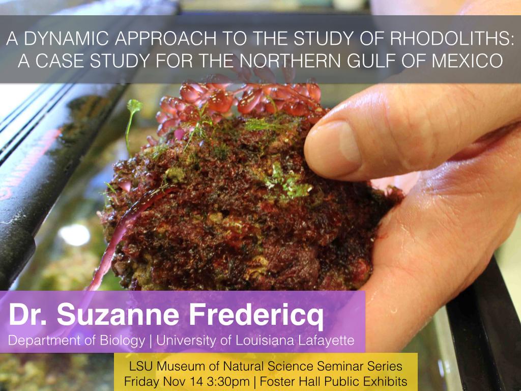 LSUMNS_seminar's tweet photo. This week at  @LSU_MNS , Dr. Suzanne Fredericq from ULL! http://t.co/xVr3pzUqJF