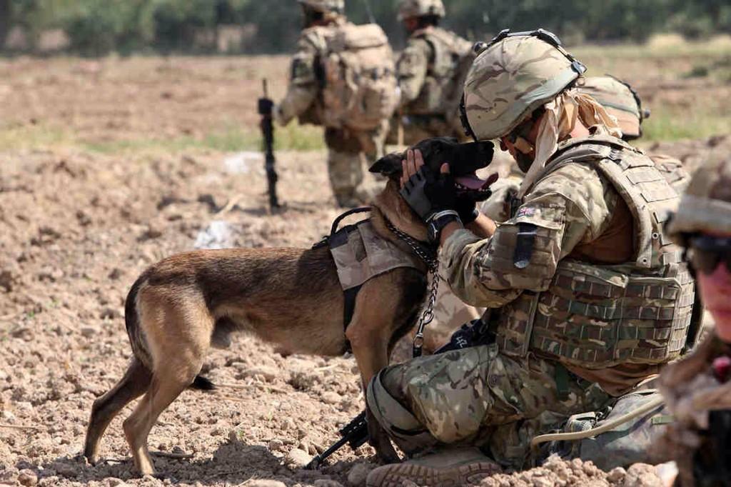 _railin_ruts_'s tweet photo. Tale a moment and thank a veteran #HomeoftheFreeBecauseoftheBrave http://t.co/R0Y2P1sqnb