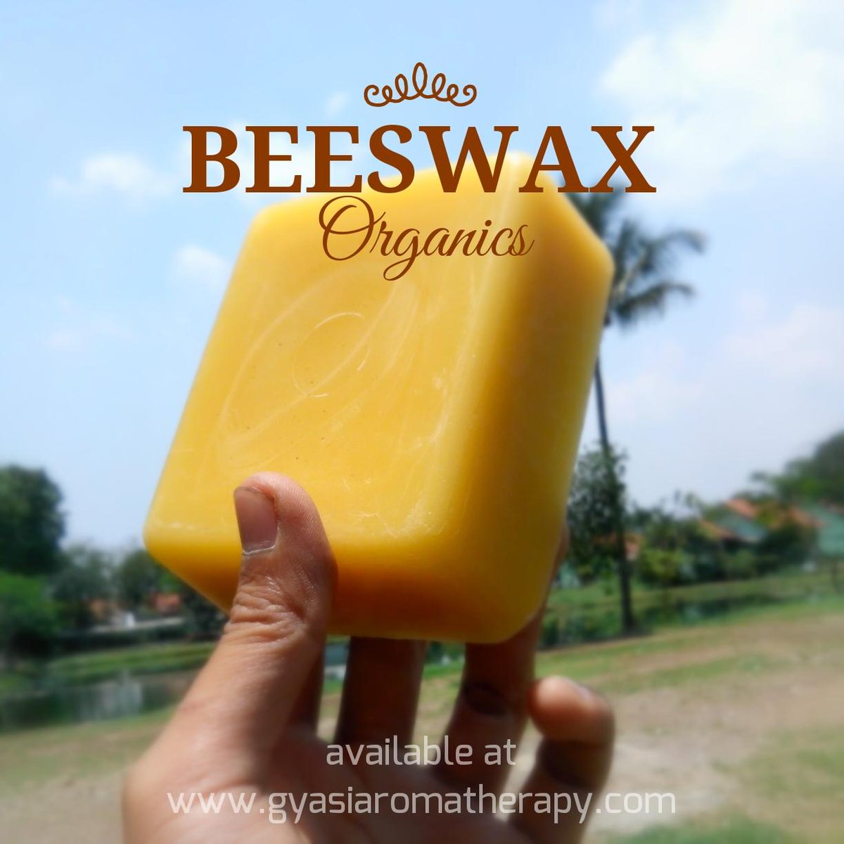G_aromatherapy's tweet photo. "Jual Beeswax Organik Grade Kosmetik di Bandung. Cp 085624..." Foursquare Tip @g_aromatherapy http://t.co/MMyvPccd7X http://t.co/weyNwCYkW9