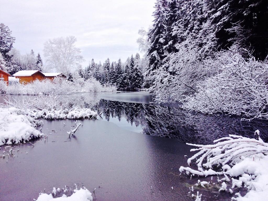 Canoe_Algonquin's tweet photo. Who's up for a snowy morning paddle? Couldn't pass this one up this morning! http://t.co/n6jIAKltHA