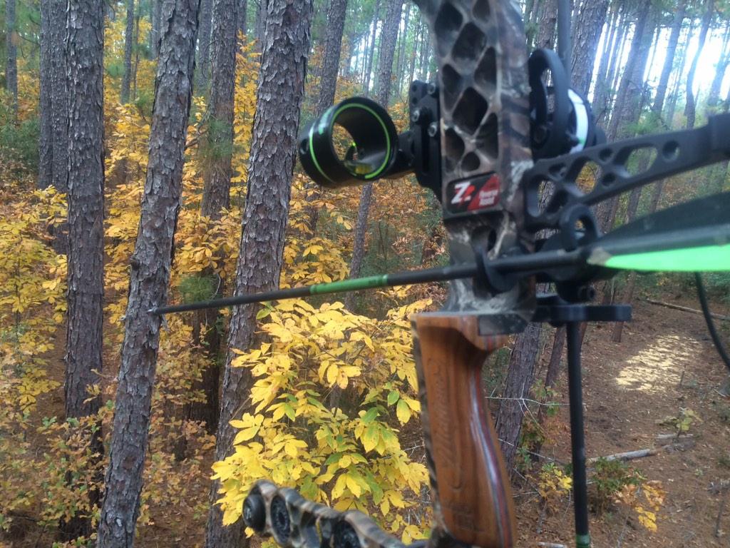 tcpaynejr's tweet image. The time is drawing nigh , until then though, let not that arrow fly .