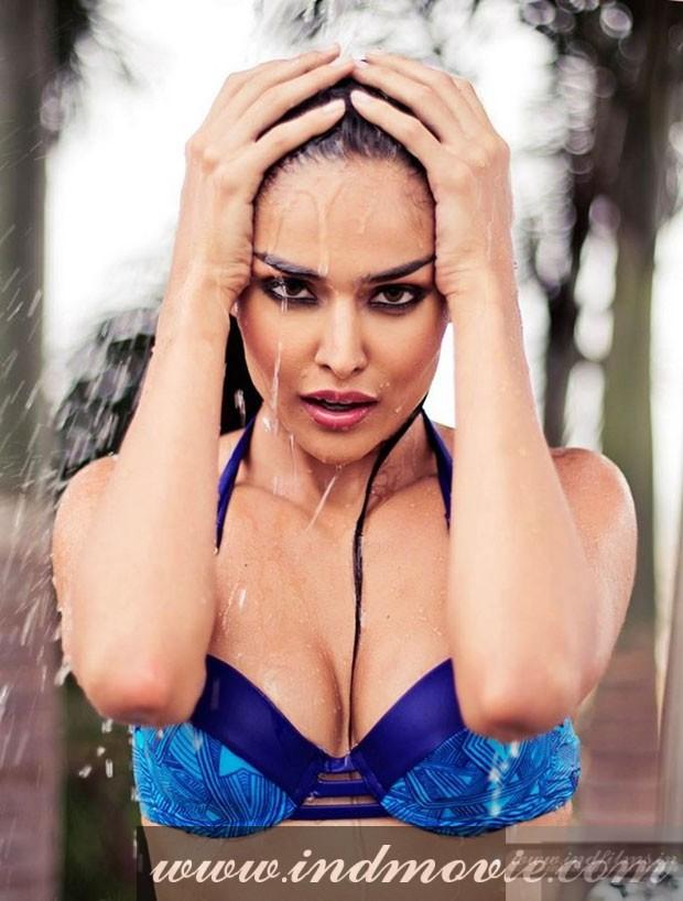 indmovie's tweet photo. Nathalia Kaur #Swimsuit #Gallery - http://t.co/jIL6y6LDEY #NathaliaKaur #Actress http://t.co/jWXFoV2Zsn