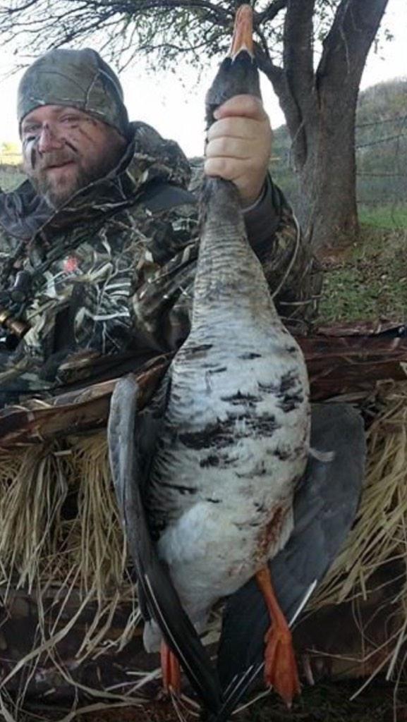 CSQuacker's tweet photo. First of the year, an awesome spec. #whitefront @skeel02 @ChadBelding @KeithPAllen #thefowllife @BandedBrands http://t.co/wtTLw4Nlgg