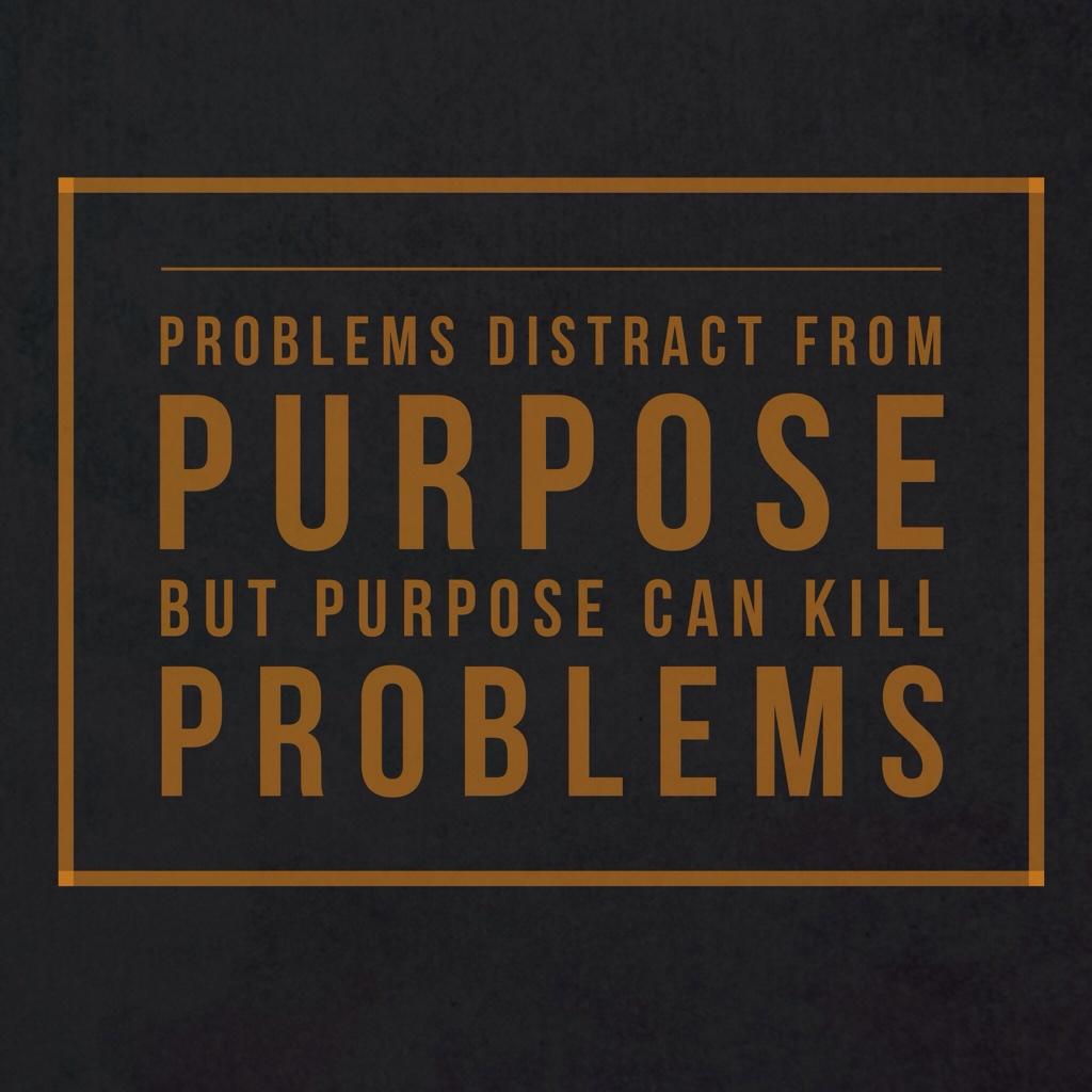 RoryLawrence's tweet photo. Problems often distract you from purpose, but purpose can eliminate problems. #dcinfluence @Dialogue_Church http://t.co/mcx7ylaM4p