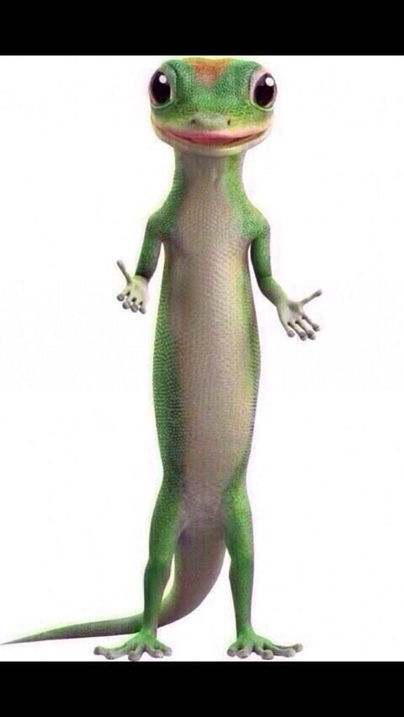 FunnyPicsDepot's tweet photo. How niggas pose in pictures 😂 http://t.co/liEE7TsogZ