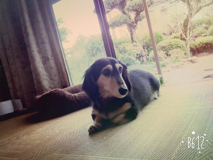 でぶ♡♡ http://t.co/9EE1pet9DS