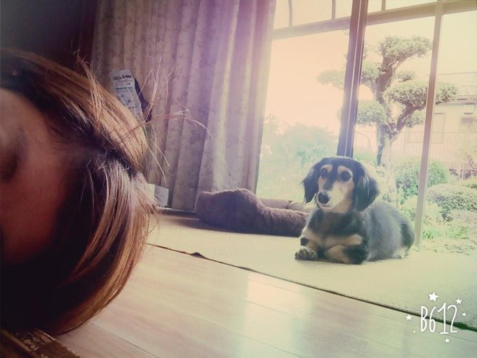 でぶ♡♡ http://t.co/9EE1pet9DS