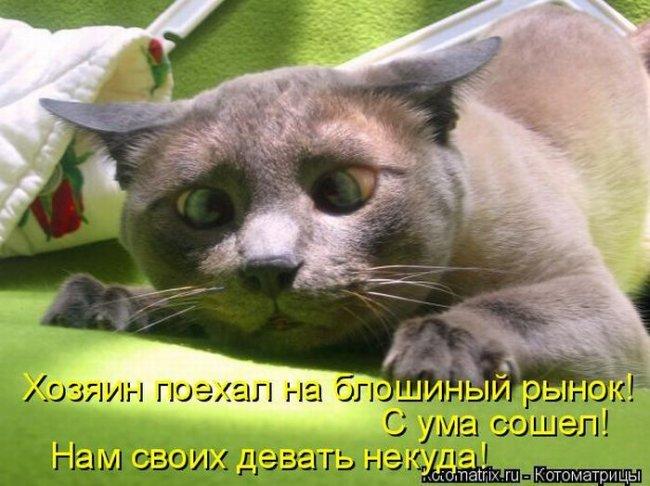 serghover tweet picture