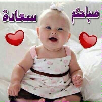 mostfa52 tweet picture