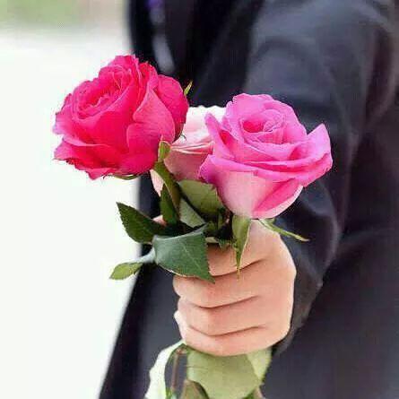 1242Zozo's tweet photo. @2020_mamh صباح الورد http://t.co/j3pbZjKxEb
