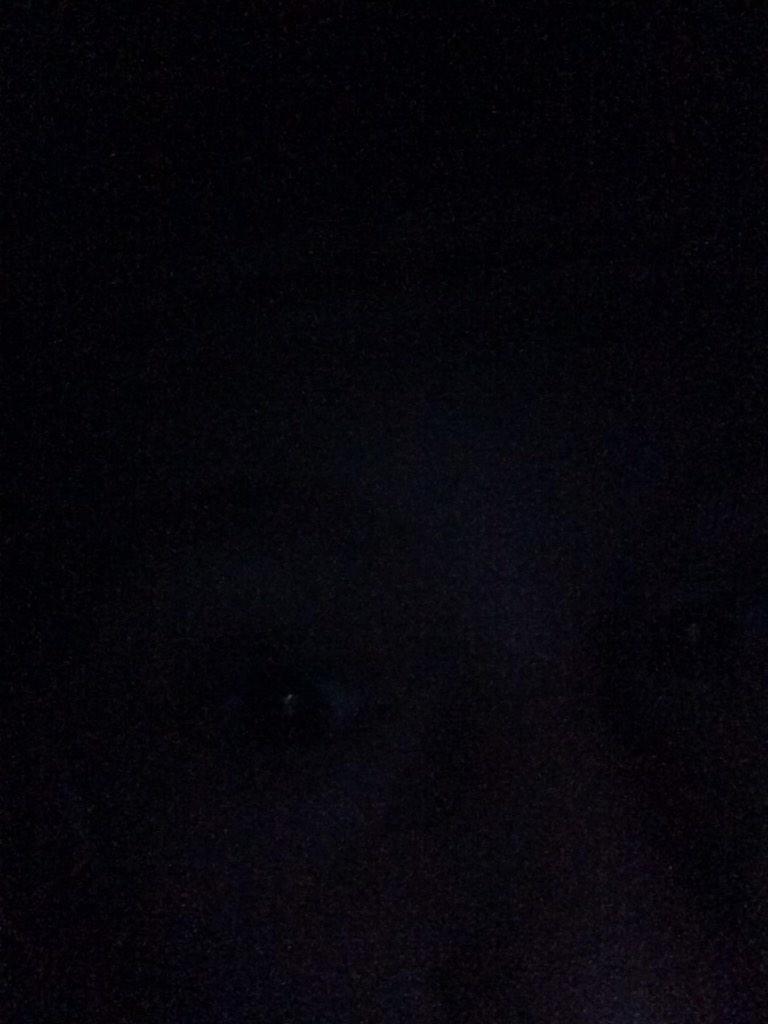 Axew_The_Great's tweet image. @dkamirzxs wtf