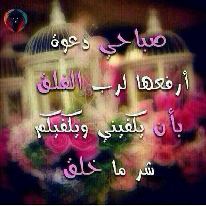 🔴💊 tweet media