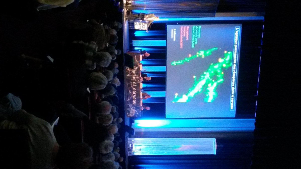 FFC_Chimie's tweet photo. En direct du colloque #Chimie et #Cerveau http://t.co/eoXTnYkW69