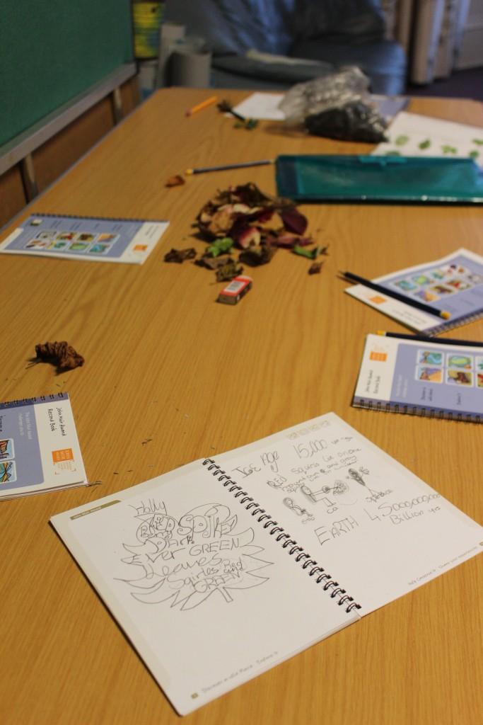 #johnmuir This is what a good John Muir Award course review room should look like! #messy #bringtheoutdoorsin