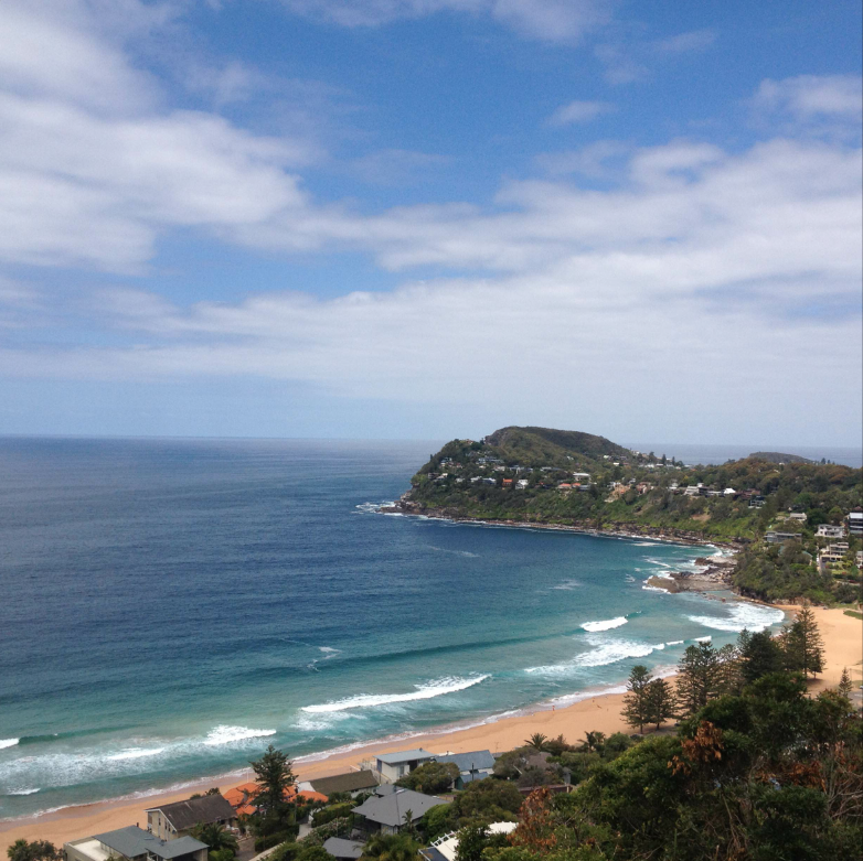 Sydney.com tweet media