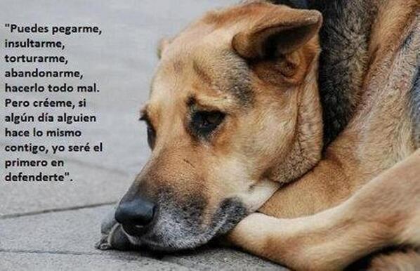 Una imagen que dice mil palabras.