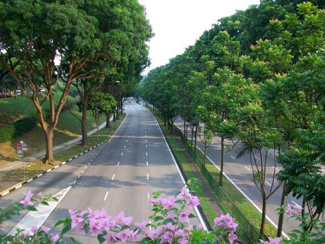شارع جميل يسمى شارع البستان في سنغافورة. B2OUjVFCEAA78Yq