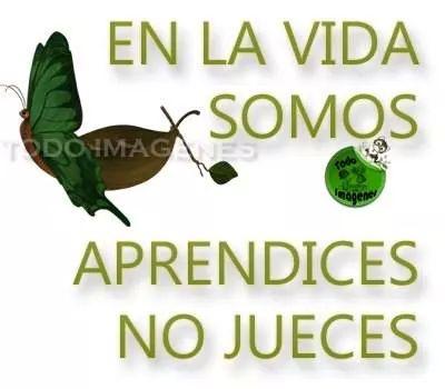 AmigoBelen's tweet photo. http://t.co/8sbf6TeTNo