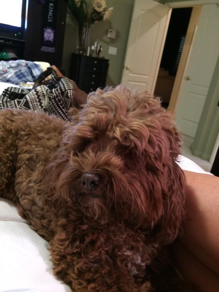 jboyea2634's tweet image. Love my Boo