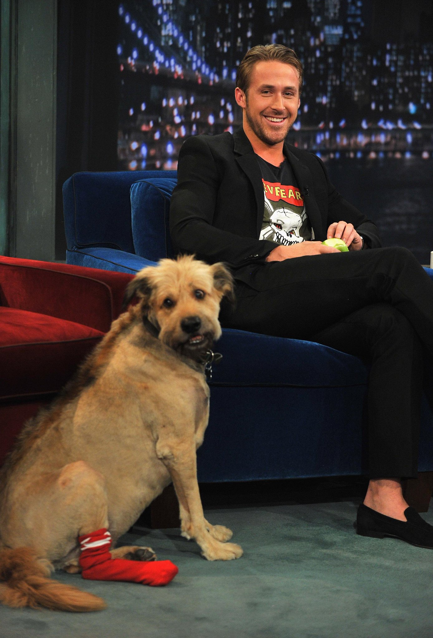 "The thing I love most about being an adult is the right to buy candy whenever I want" Happy birthday Ryan Gosling! 