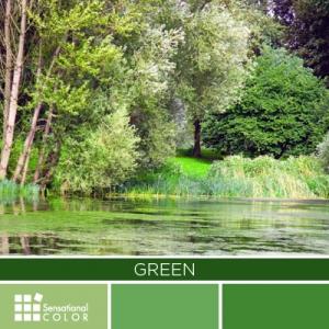 TeamGreenways's tweet photo. http://t.co/8f8GzsEj12