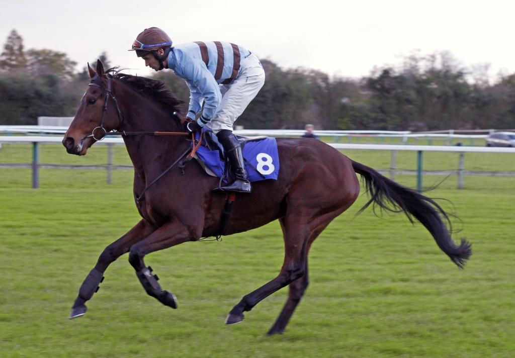 CollingsBerry's tweet photo. Thanks to Steve Cargill for this lovely pic of Russian Link going to post under @WTKJockey #prettymare http://t.co/DWWkPJN7U9