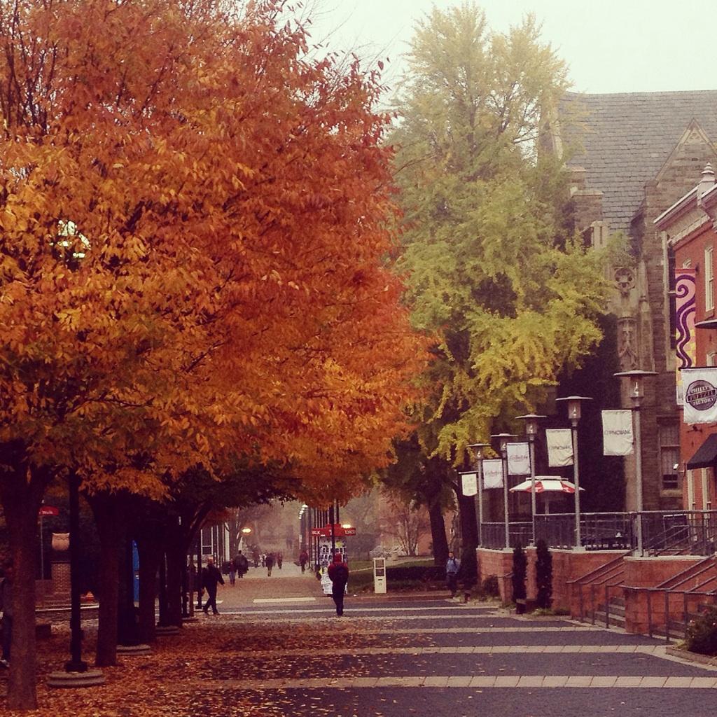 My school is so pretty #templemade #fall #fallinphilly