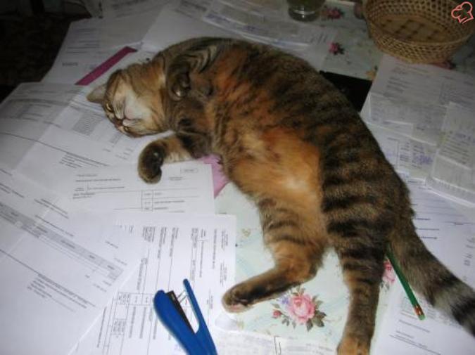 JobRest's tweet image. Время идти домой!) или требуйте #сверхурочные