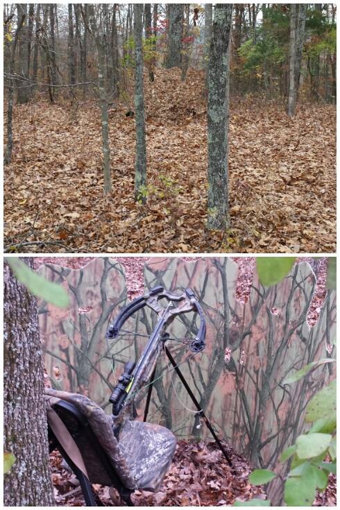 GhostBlind's tweet photo. What an awesome blind! http://t.co/Oj2CkjHAD1