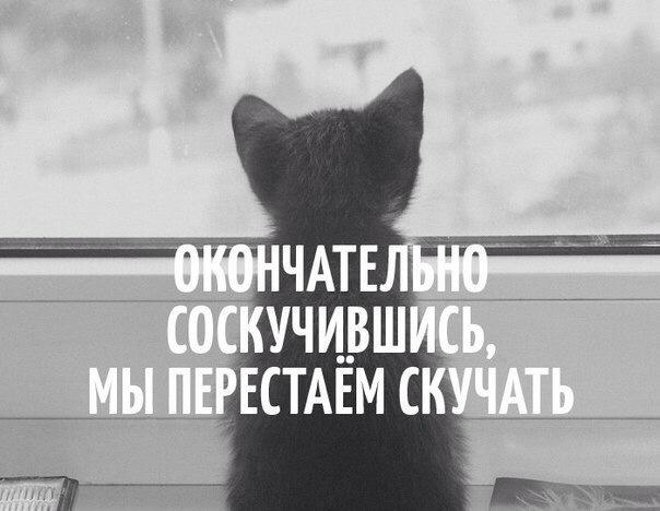 HELLY (@marryhelly) on Twitter photo 