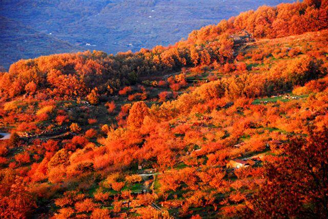 AmarExtremadura's tweet photo. Valle del jerte y Ambroz #MejorPaisajedeOtoño #antena3 vótalos @Extremadura_tur @turismodelvalle @Turismodehervas http://t.co/0OswPaETcu