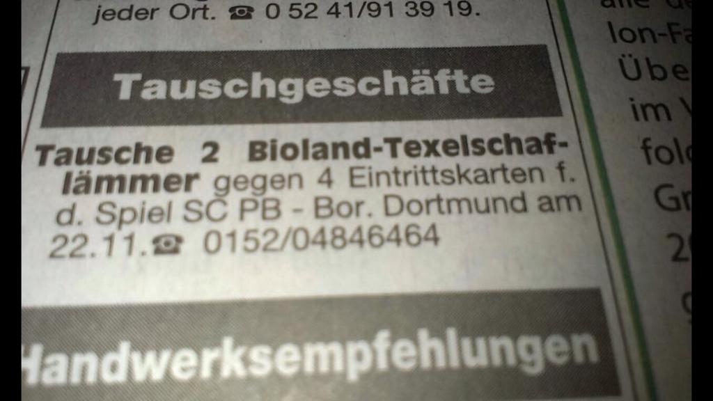 Mal kurz überlegen... nein. #scpbvb