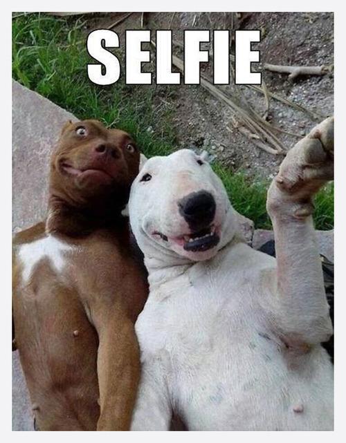 aaronjball's tweet photo. Happy Wednesday #selfiegeneration http://t.co/2PqaBg1wMQ