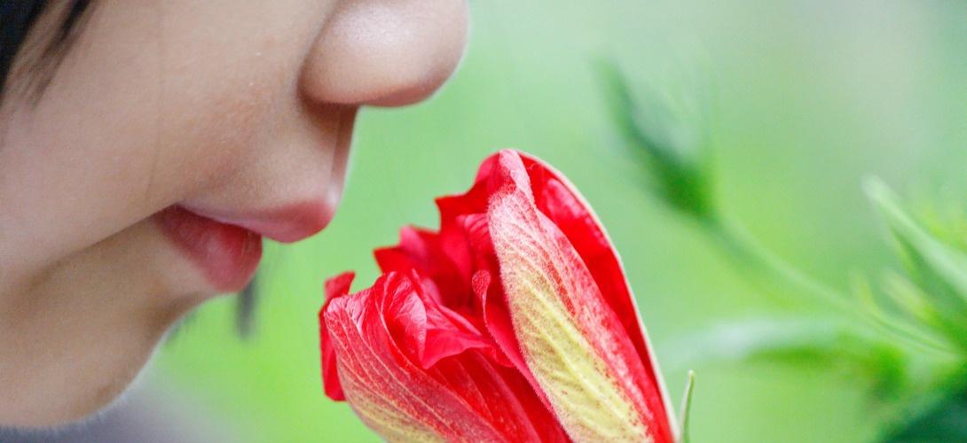 Slate.fr tweet media