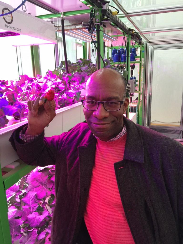 MITOpenAg's tweet photo. MIT Professor (and friend) @LawrenceSass lovin' our strawberrys at the #farm today #yummytech http://t.co/atdAByVQ9Y