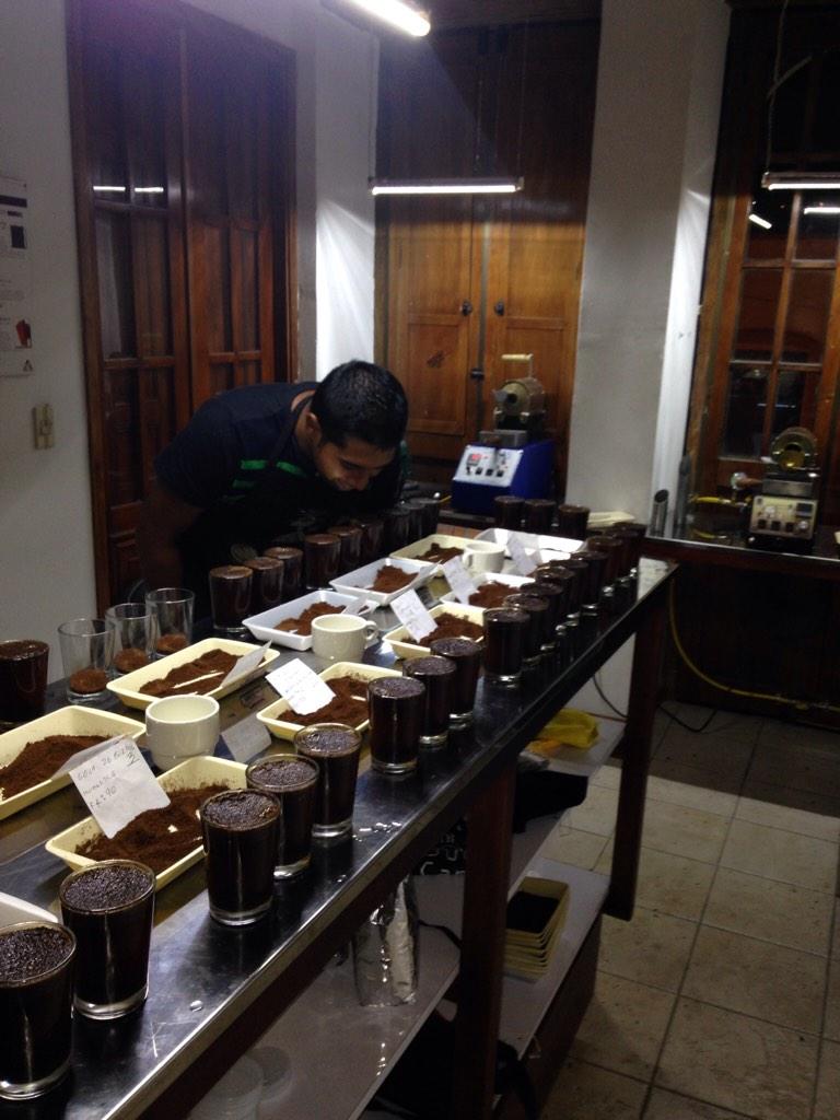cooperativa de cafes especiales de nariño tweet media