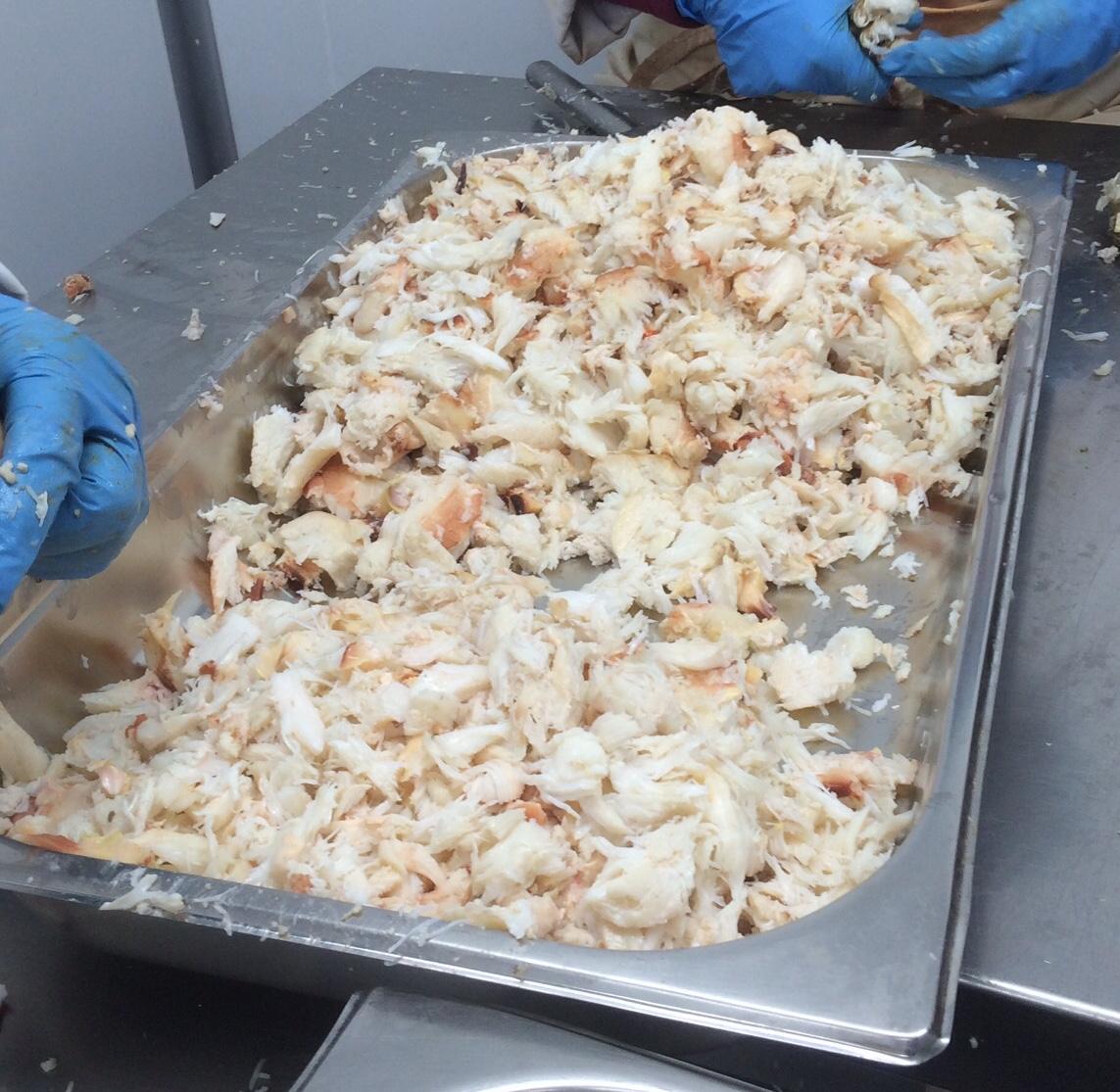 Brixham Crab Company tweet media