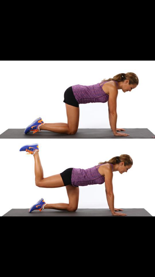 julimuffn's tweet image. #Exercise2 Donkey Kicks. Go on all fours.. With your back straight..lift either leg and kick x 6