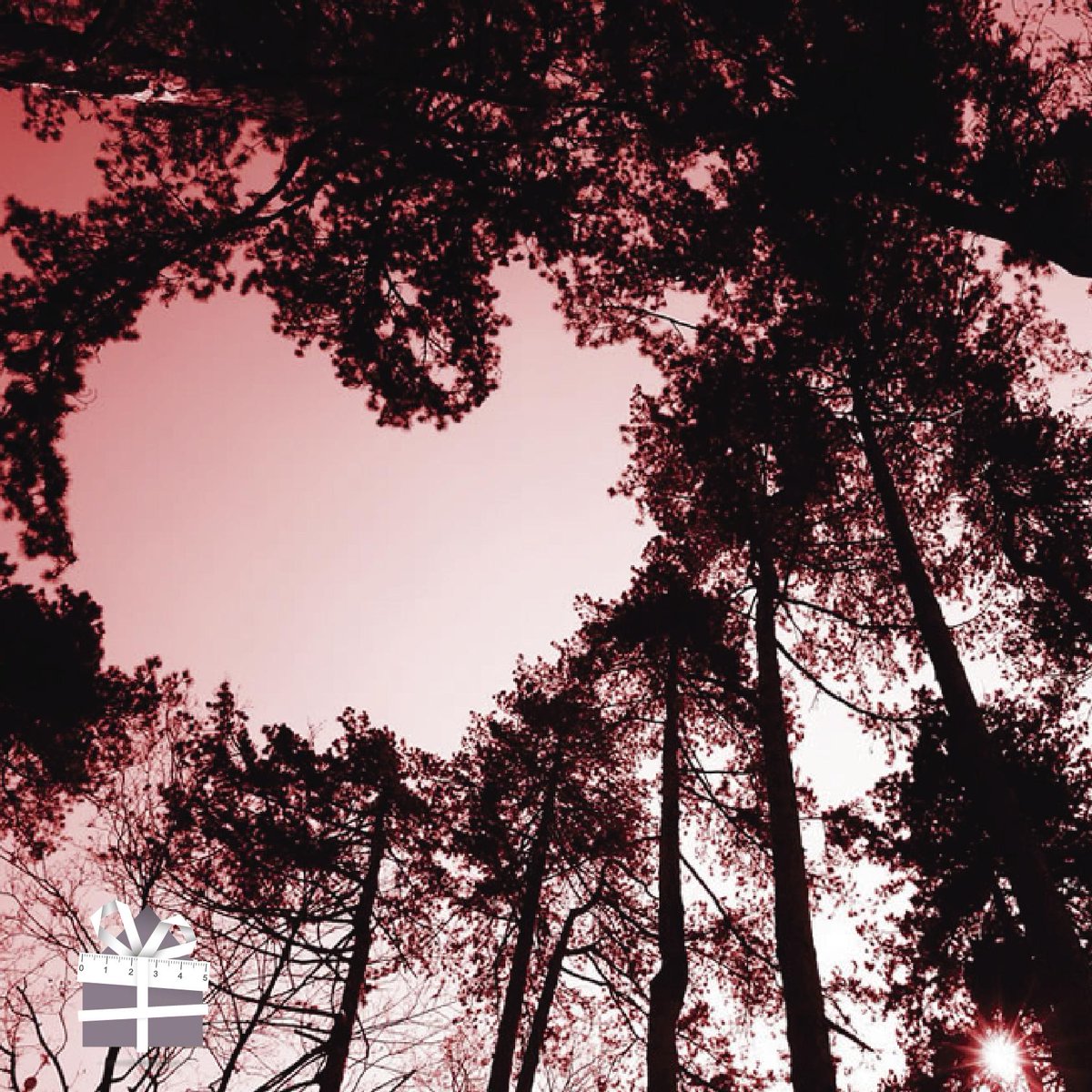 RegalaMetros's tweet photo. ¡El amor puede estar dónde menos lo esperás!
#AmorEnLaNaturaleza http://t.co/KpHkOnLGK6