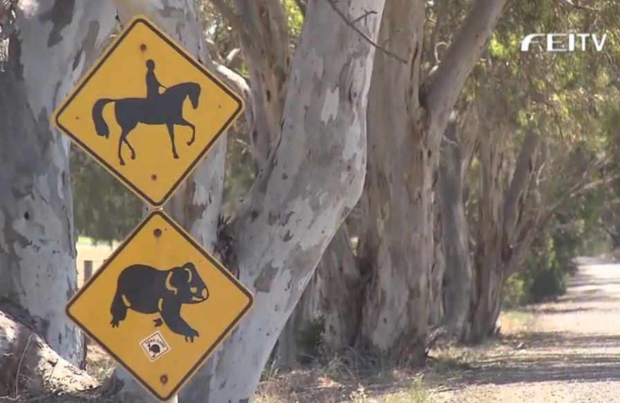 FEI_Global's tweet photo. #FEIClassics #Eventing Down Under to #Adelaide Australian International 3 Day Event! http://t.co/QxOs9C8RjU  @aus3de http://t.co/yap4CDmZul