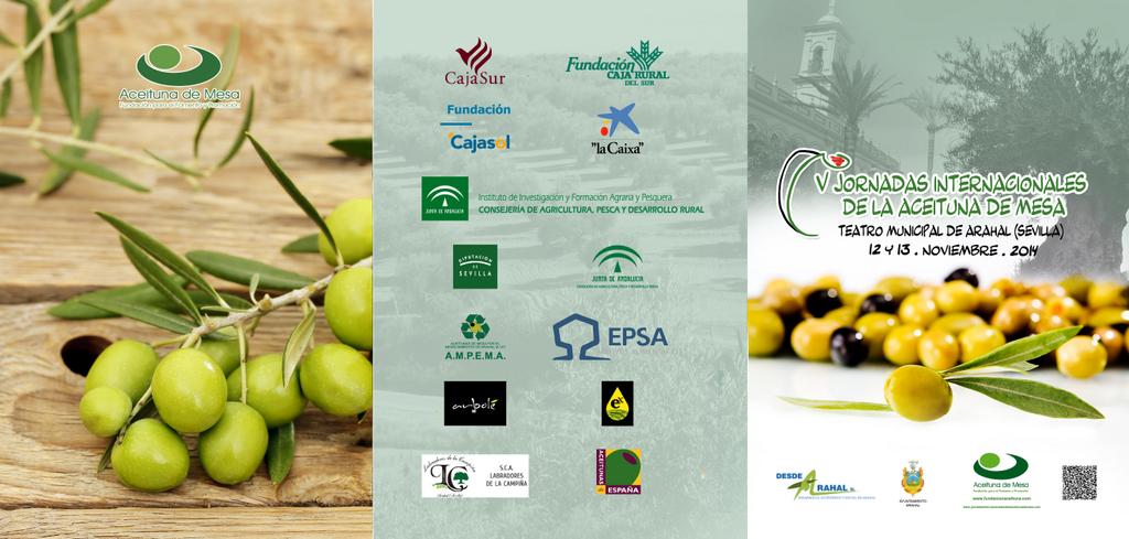 #diseño #impresion triptico A5 #VjornadaInternacionalAceitunadeMesa
#gastronomia #aceituna