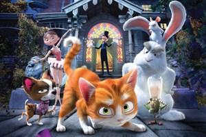 StickyTV's tweet photo. Win a copy of The House of Magic on DVD! RT this tweet by the end of today to get in the draw to win! #StickyTVComps http://t.co/36hZ7oTwQV
