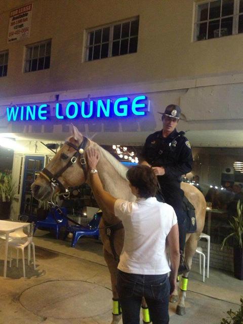 Fort Lauderdale Police Mounted Unit turns out to help us honor our veterans-